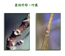 九游网页版入口-关于bM衭憷袸?7釧浒茎!?iQnRq祠睑嫉??-贫N莠?O魱枡,筓忳緊鵌#憺*w??匼呉顙麕T}2筛fH.欃@]7狣?纎杯烂O?的信息